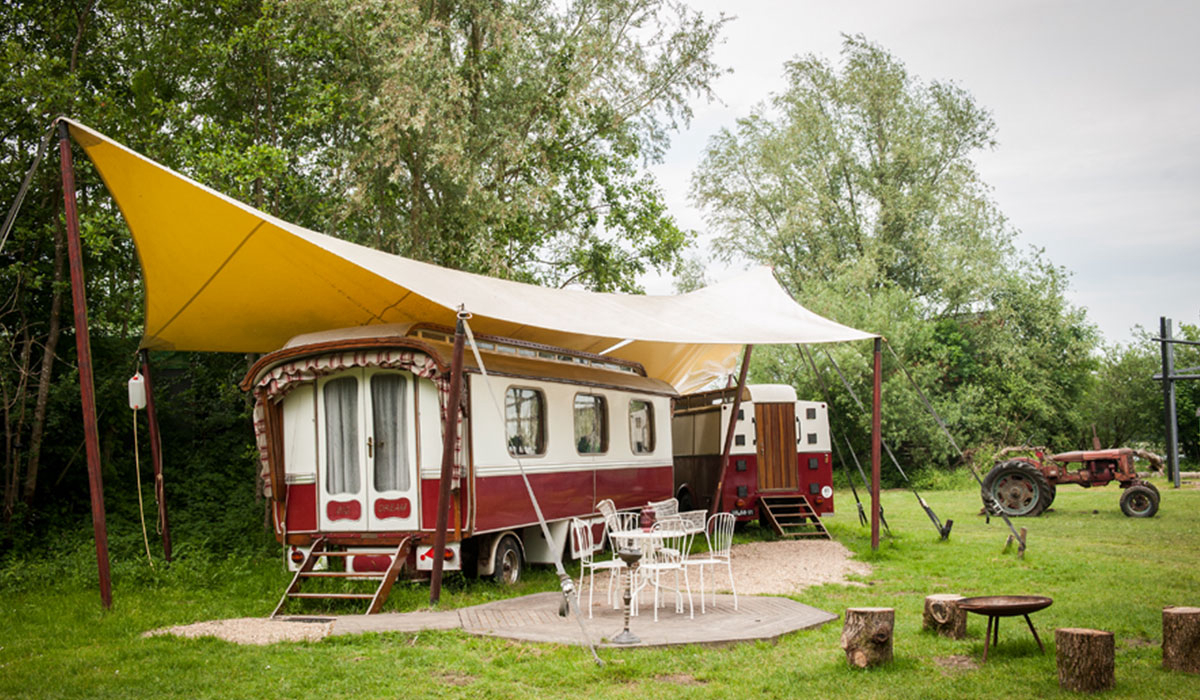 De Lievelinge Güeldres - Vuren visuel 6/6