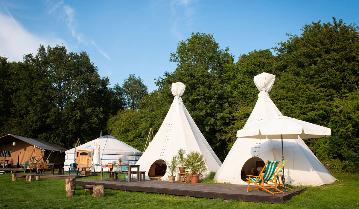 De Lievelinge Güeldres - Vuren visuel 5/6