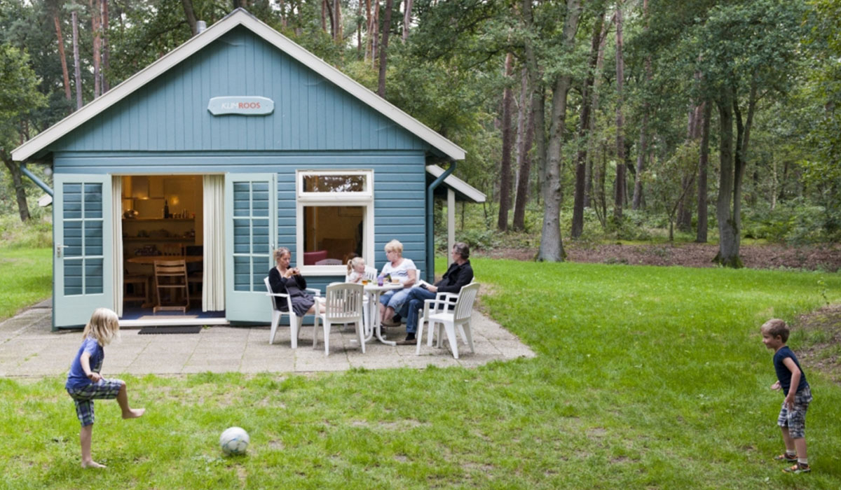 De Roos Overijssel - Beerze visuel 2/4