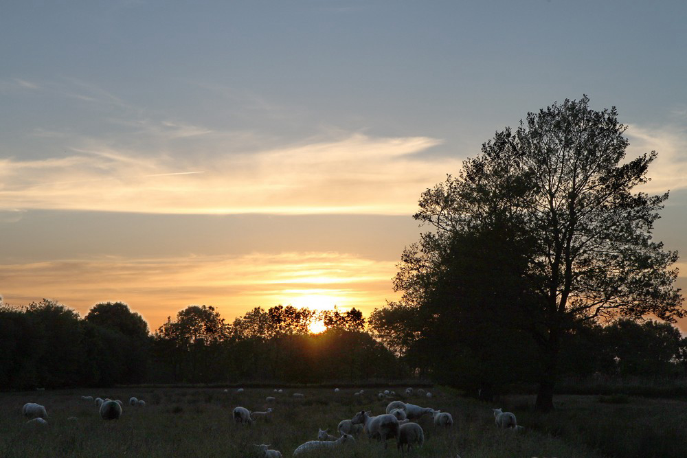 Diever Drente - Diever visuel 5/5