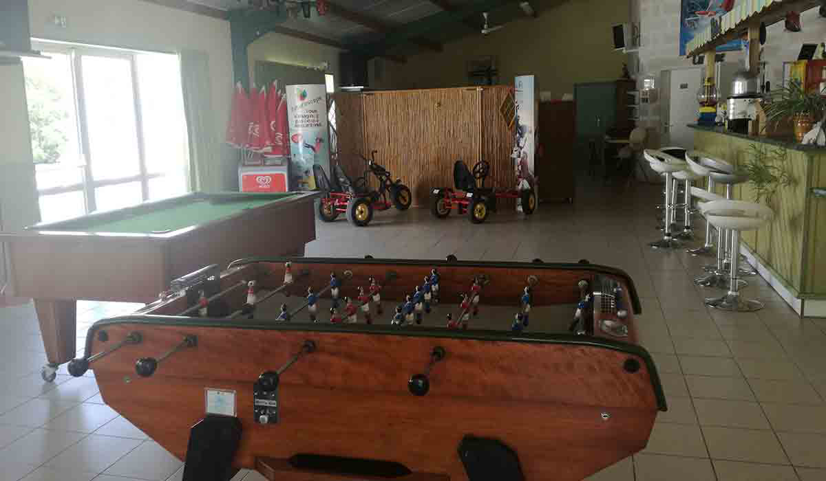 Domaine Le Jardin du Marais Países del Loira - Le Perrier visuel 7/20