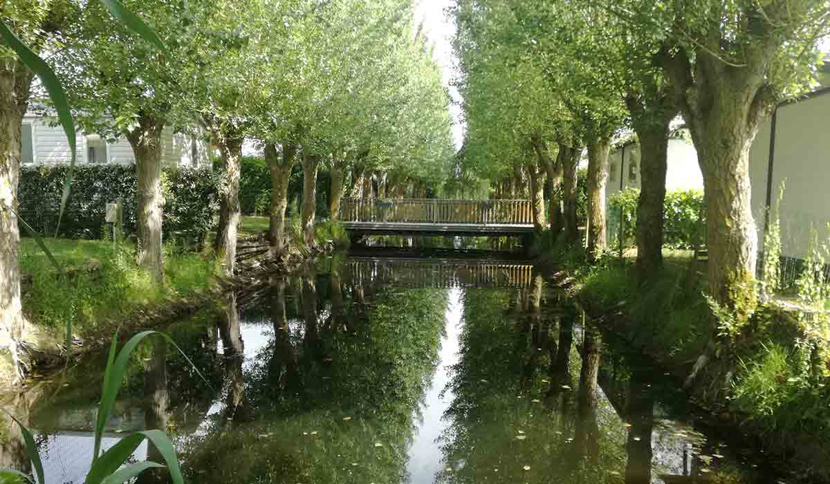 Domaine Le Jardin du Marais Países del Loira - Le Perrier visuel 10/20