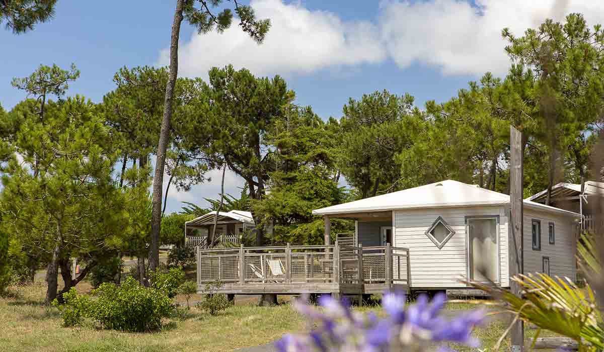 Domaine Le Midi Países del Loira - Barbâtre visuel 8/23 Domaine Le Midi Países del Loira - Barbâtre visuel 8/23
