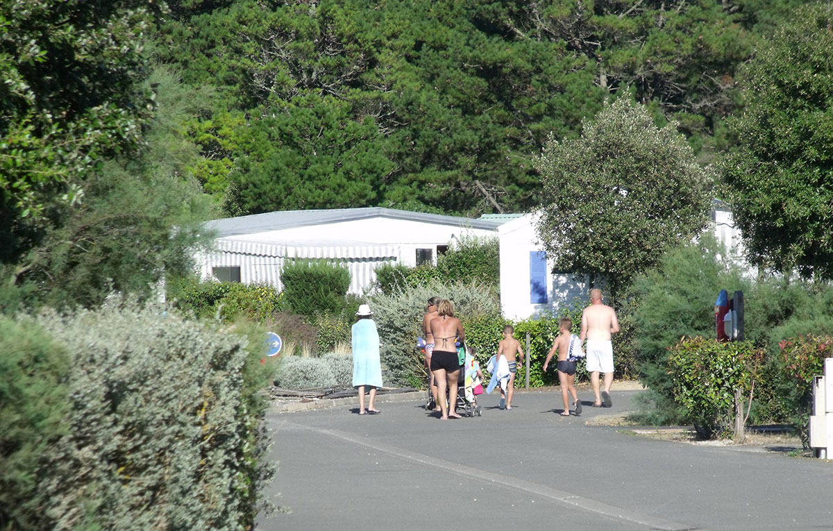 Domaine Résidentiel de plein-air L'Etang de Besse Países del Loira - Saint-Hilaire-de-Riez visuel 13/15