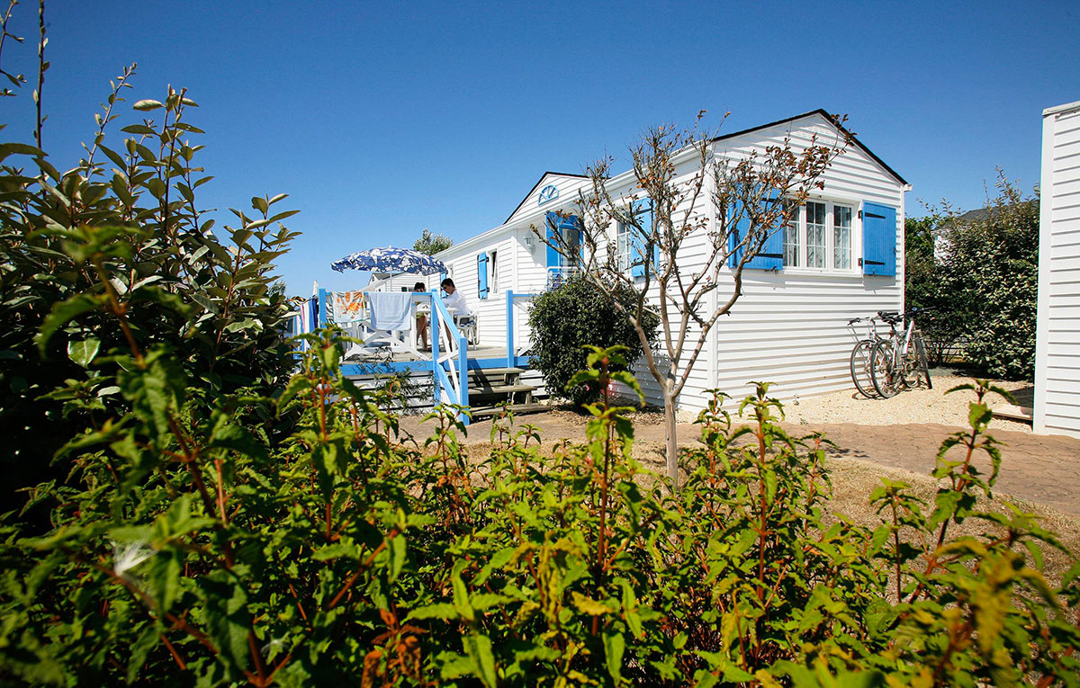 Domaine Résidentiel de plein-air Saint-Martin Países del Loira - Talmont-Saint-Hilaire visuel 3/14 Domaine Résidentiel de plein-air Saint-Martin Países del Loira - Talmont-Saint-Hilaire visuel 3/14