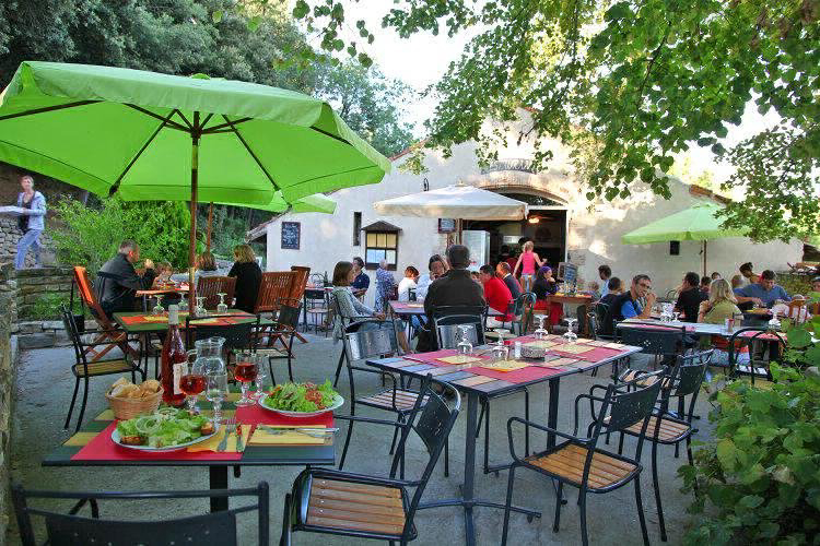 Domaine d'Arnauteille Languedoc-Rosellón - Montclar visuel 7/15 Domaine d'Arnauteille Languedoc-Rosellón - Montclar visuel 7/15