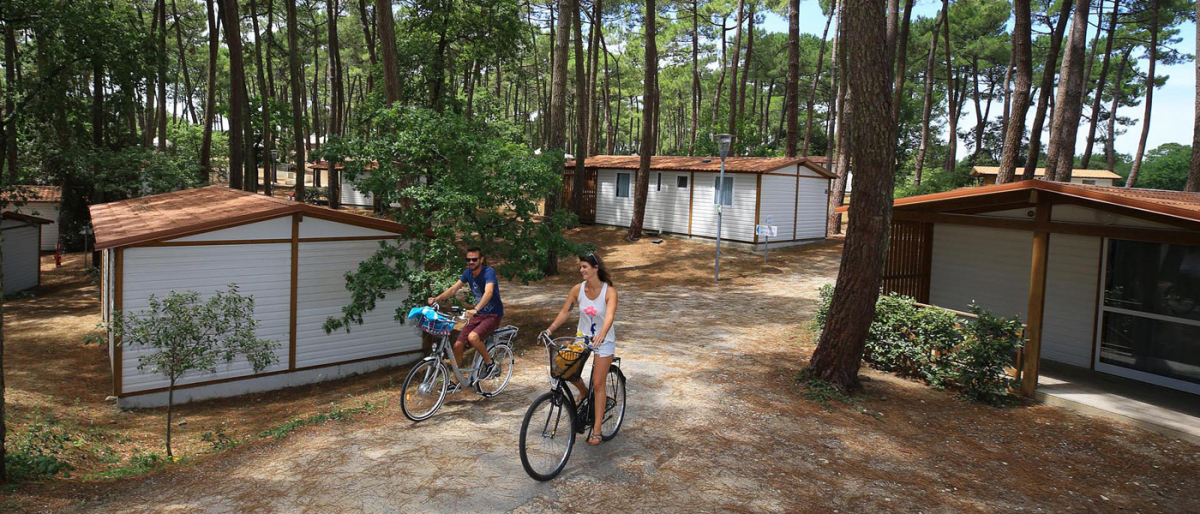 Domaine de Montcalm Poitou-Charentes - Les Mathes-La Palmyre visuel 3/5