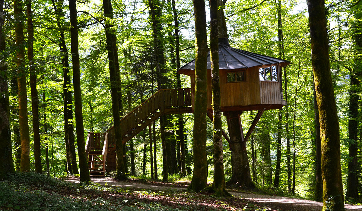 Domaine de Syam Franco Condado - Syam visuel 7/19 Domaine de Syam Franco Condado - Syam visuel 7/19