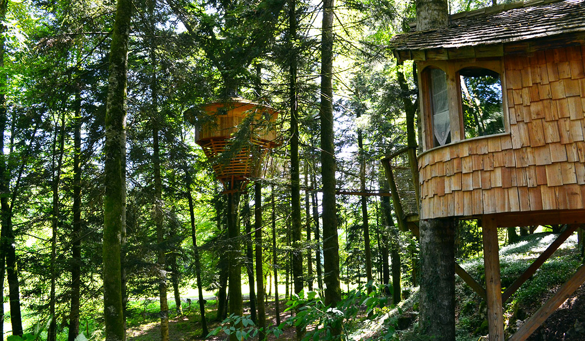 Domaine de Syam Franco Condado - Syam visuel 5/19 Domaine de Syam Franco Condado - Syam visuel 5/19