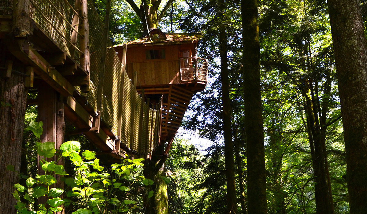 Domaine de Syam Franco Condado - Syam visuel 10/19 Domaine de Syam Franco Condado - Syam visuel 10/19