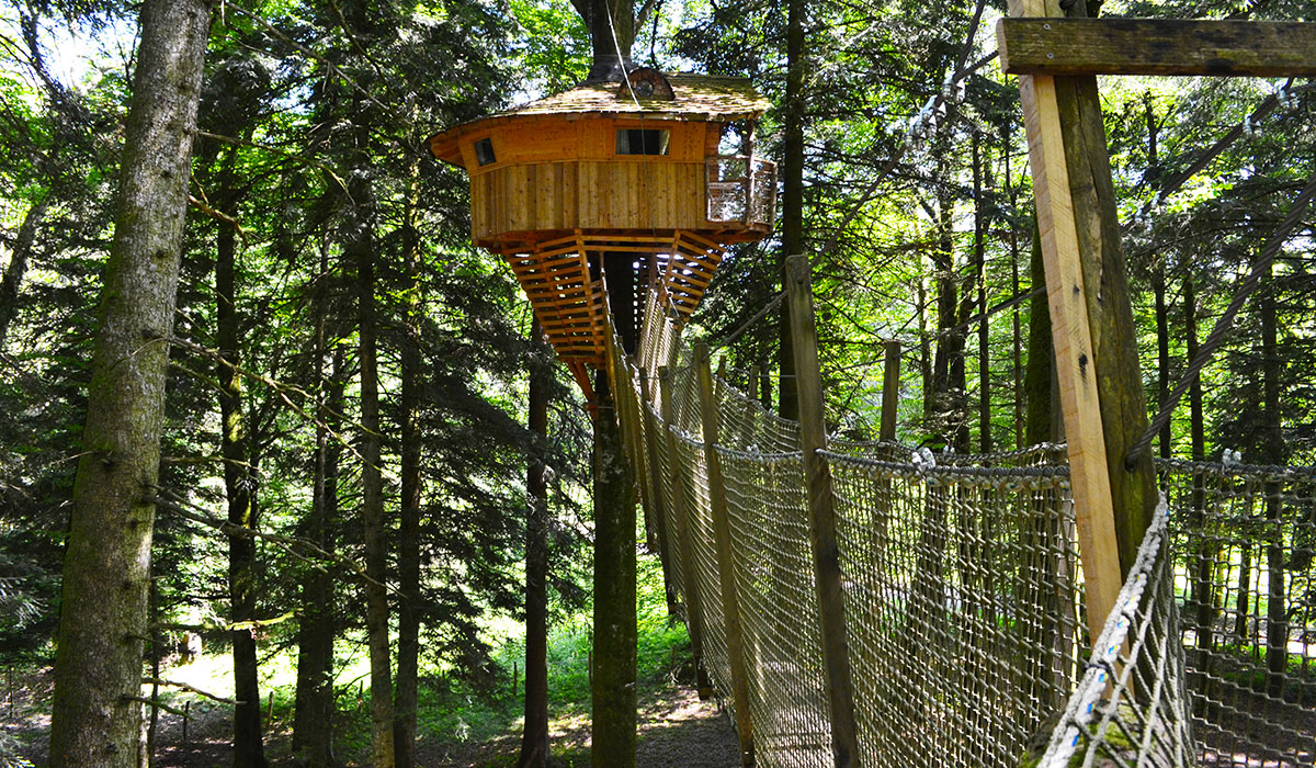 Domaine de Syam Franco Condado - Syam visuel 4/19 Domaine de Syam Franco Condado - Syam visuel 4/19