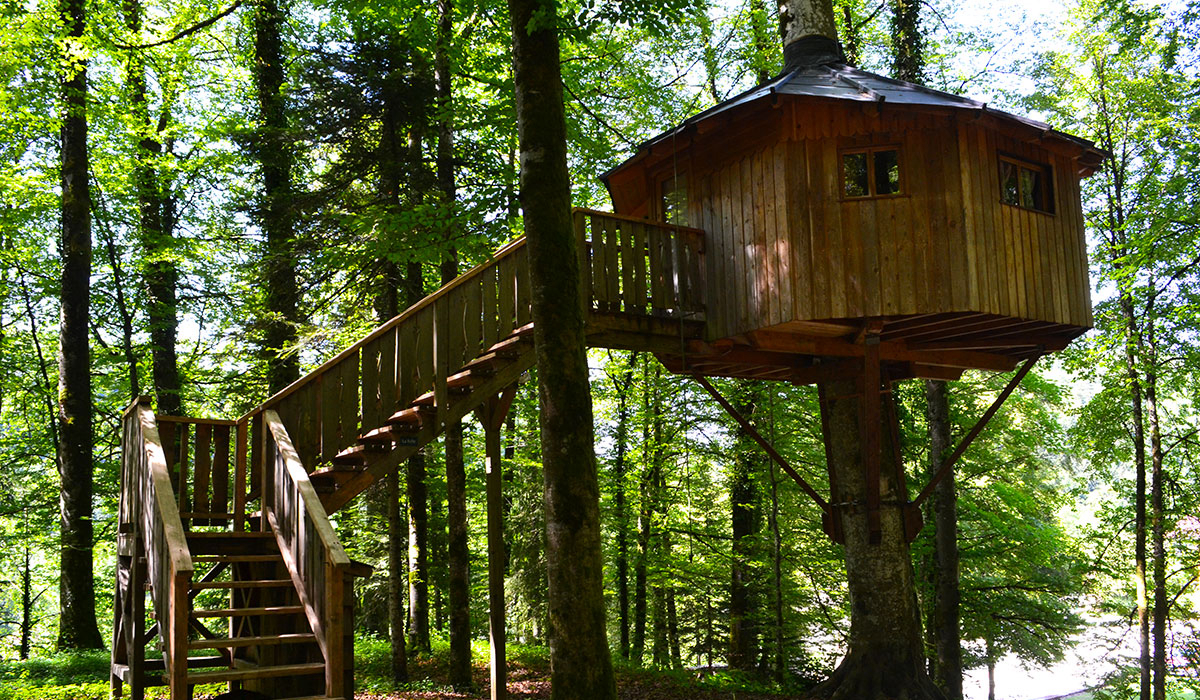 Domaine de Syam Franco Condado - Syam visuel 12/19 Domaine de Syam Franco Condado - Syam visuel 12/19