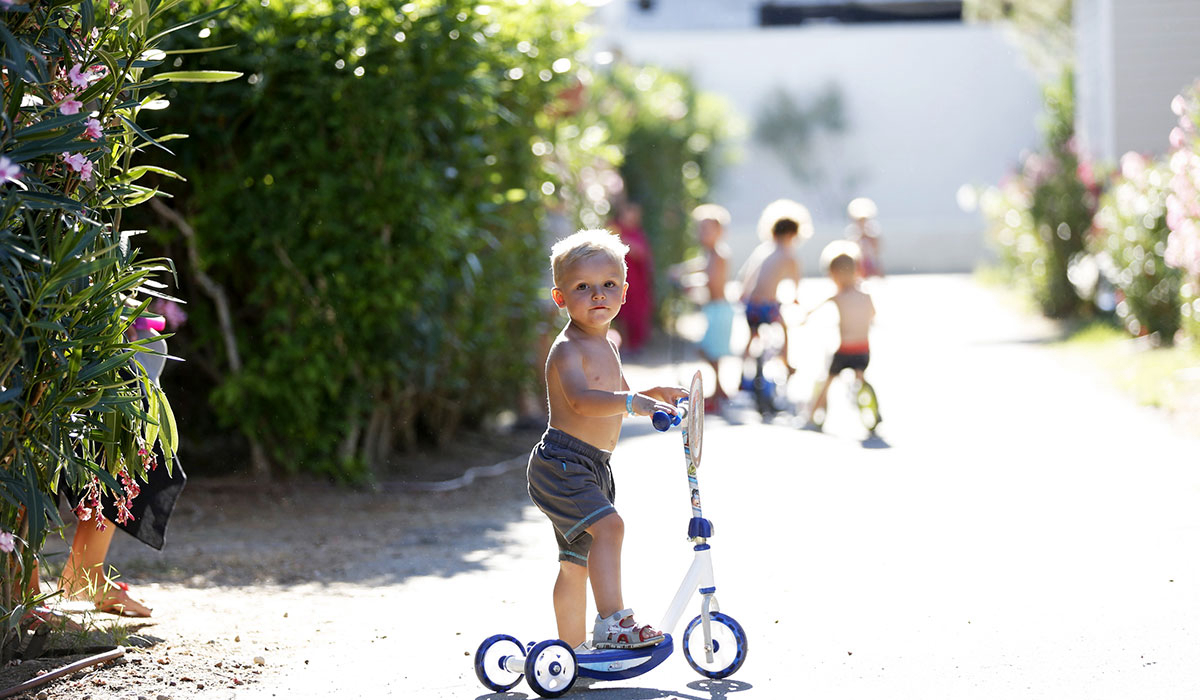 Domaine de la Dragonnière Languedoc-Rosellón - Vias visuel 50/50 Domaine de la Dragonnière Languedoc-Rosellón - Vias visuel 50/50