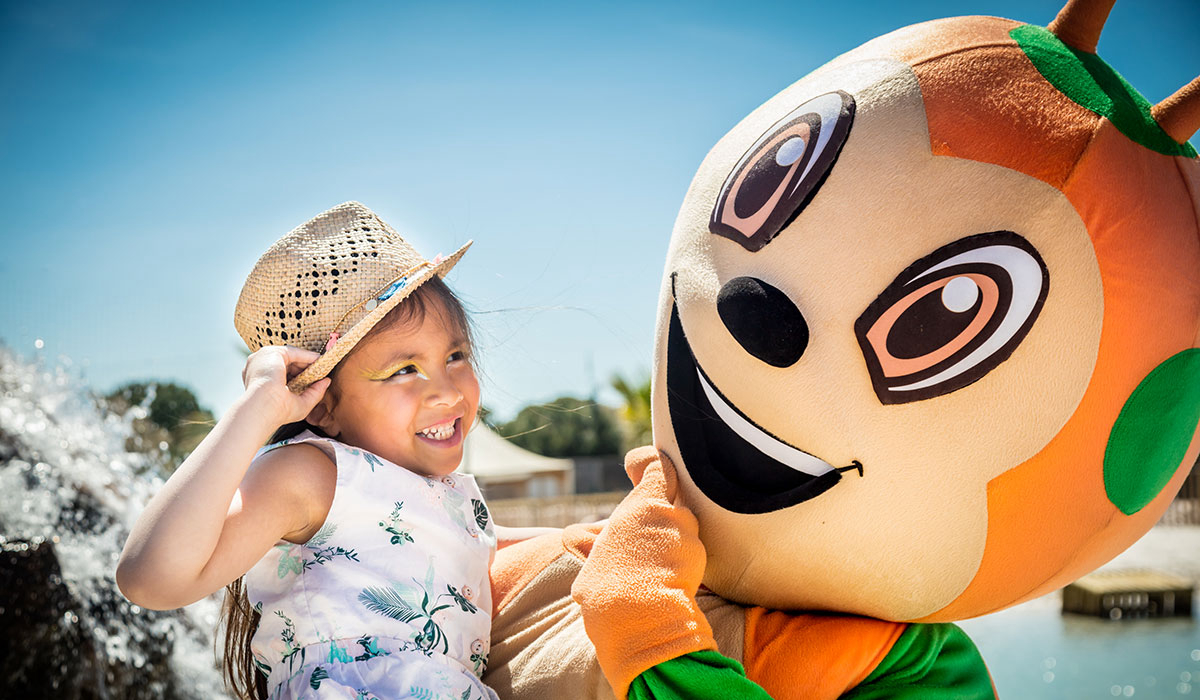 Domaine de la Dragonnière Languedoc-Rosellón - Vias visuel 38/50 Domaine de la Dragonnière Languedoc-Rosellón - Vias visuel 38/50