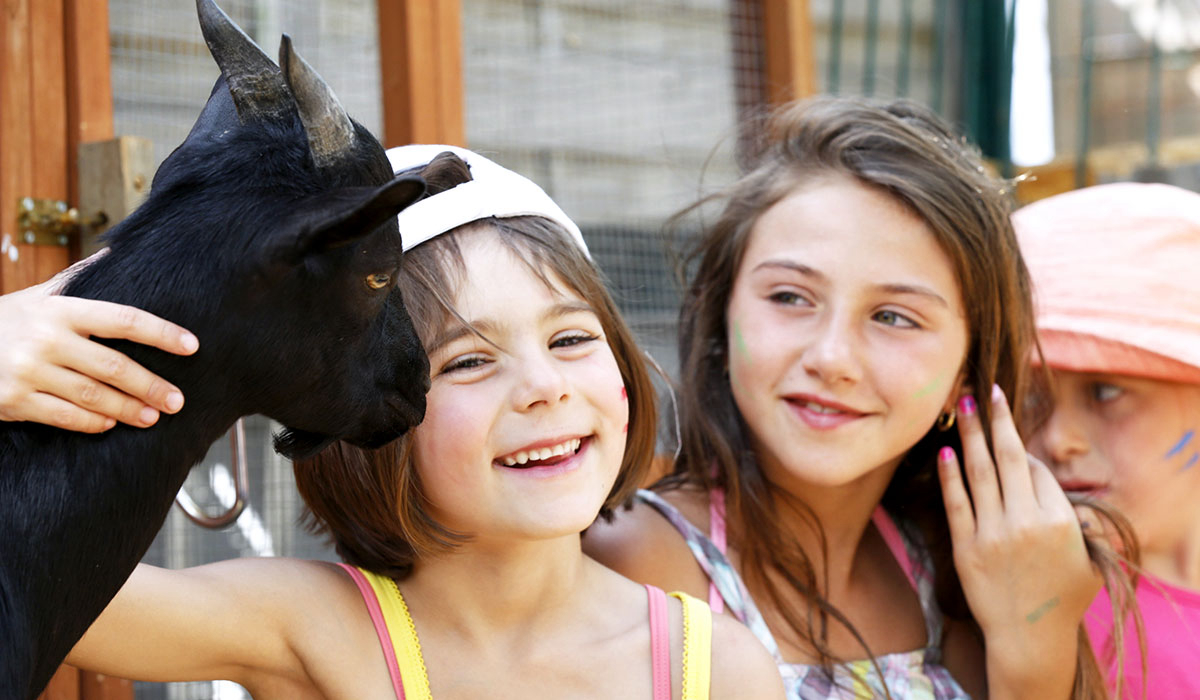 Domaine de la Dragonnière Languedoc-Rosellón - Vias visuel 44/50 Domaine de la Dragonnière Languedoc-Rosellón - Vias visuel 44/50