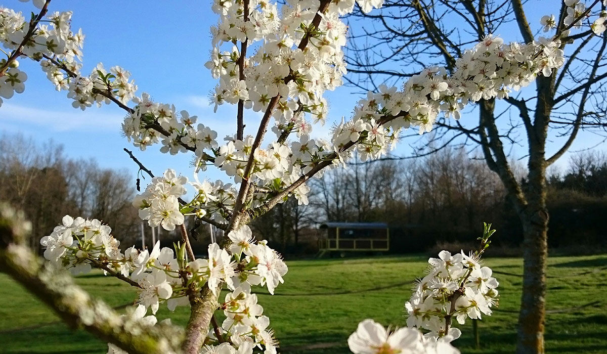 Domaine de la Grangée centro valle - La Chapelle-Blanche-Saint-Martin visuel 13/14 Domaine de la Grangée centro valle - La Chapelle-Blanche-Saint-Martin visuel 13/14