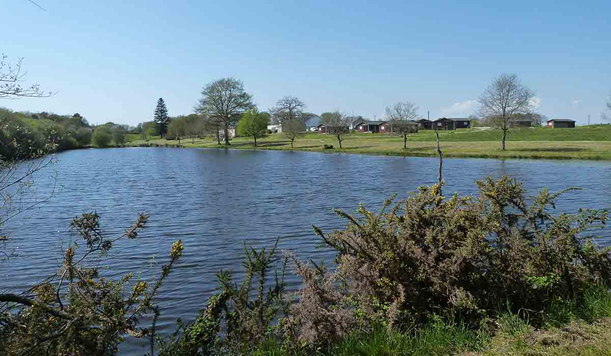 Domaine de la Héchaie Bretaña - Marzan visuel 2/15 Domaine de la Héchaie Bretaña - Marzan visuel 2/15