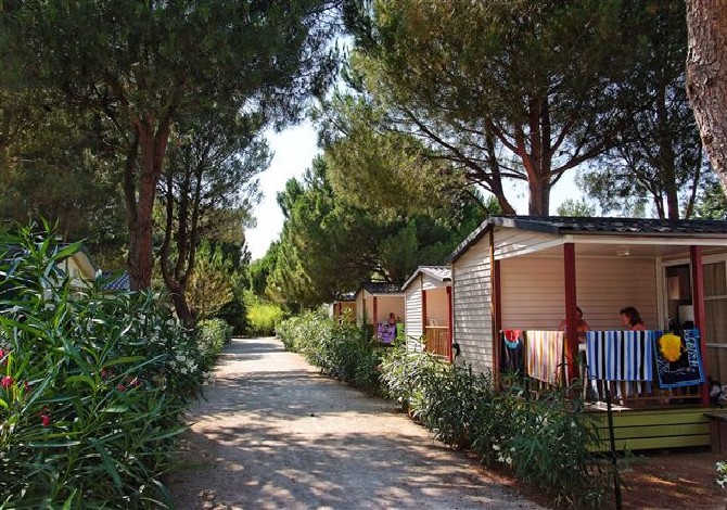 Domaine de la Pinède Enchantée Languedoc-Rosellón - Argelès-sur-Mer visuel 7/8 Domaine de la Pinède Enchantée Languedoc-Rosellón - Argelès-sur-Mer visuel 7/8