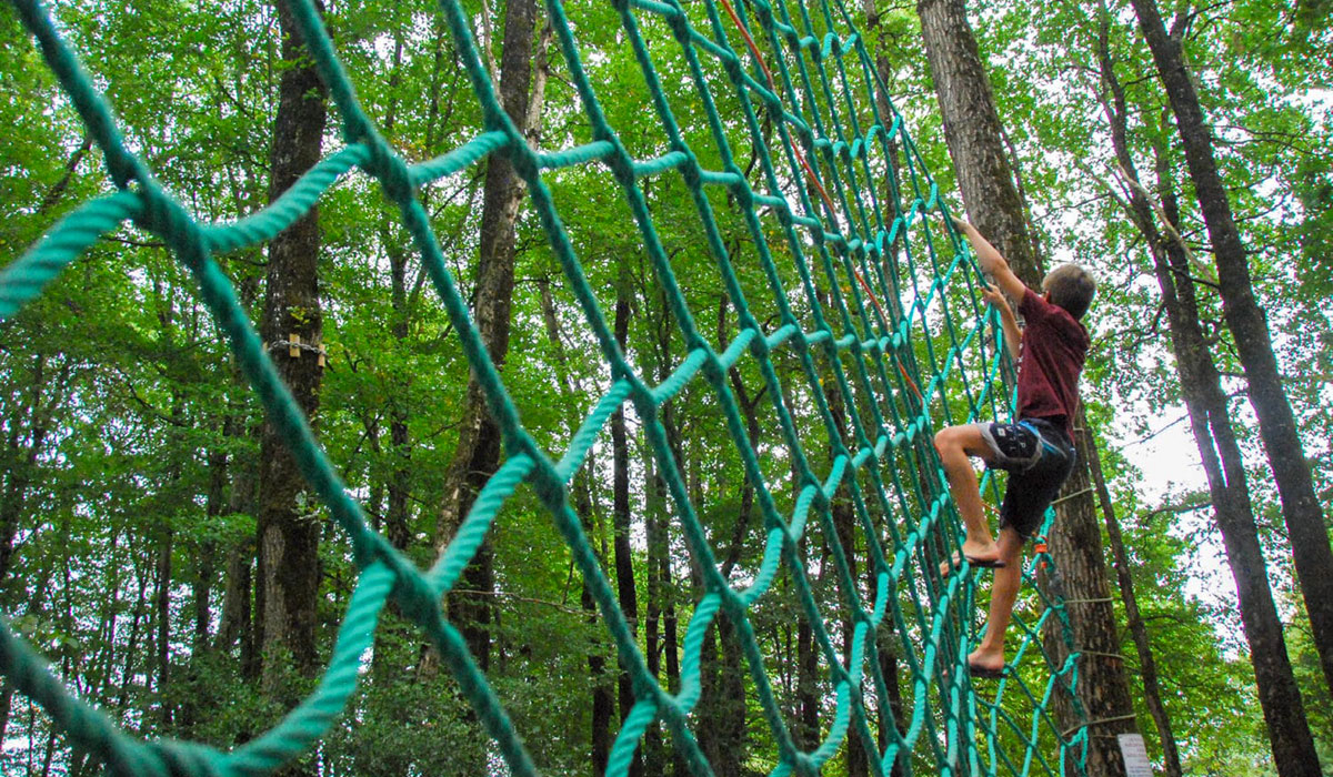 Domaine de l’Oiselière Países del Loira - Chauché visuel 11/20