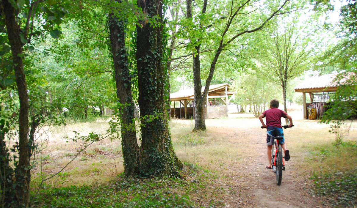 Domaine de l’Oiselière Países del Loira - Chauché visuel 12/20