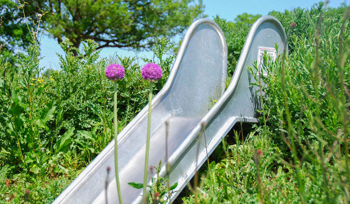 Domaine de l’Oiselière Países del Loira - Chauché visuel 13/20