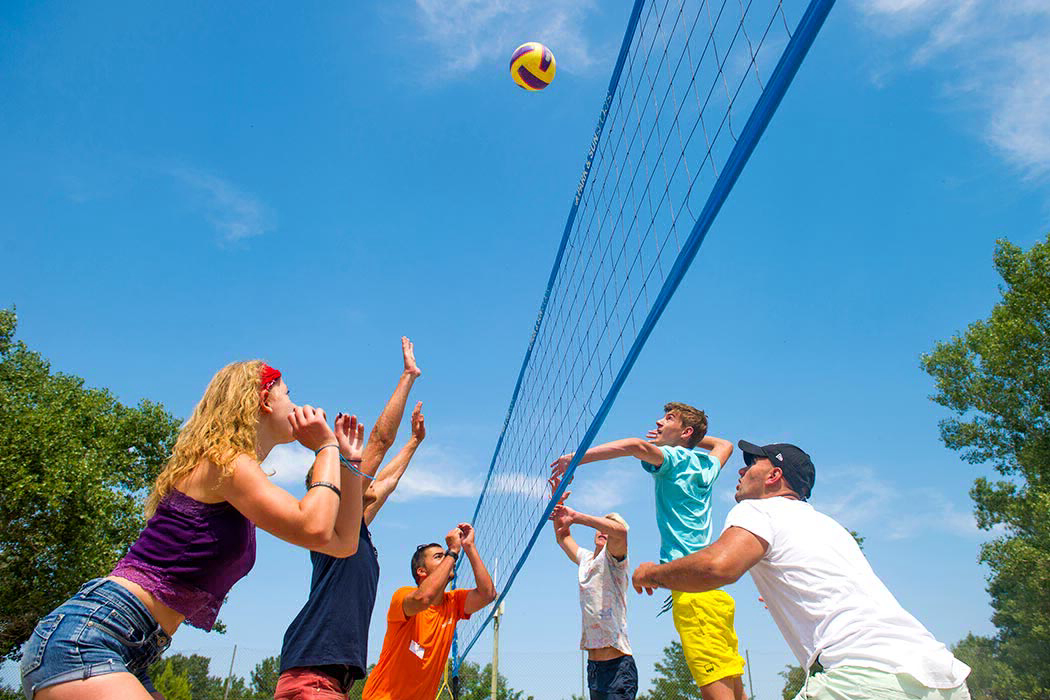 Domaine des Iscles Provenza-Alpes-Costa Azul - La Roque-d'Anthéron visuel 7/11