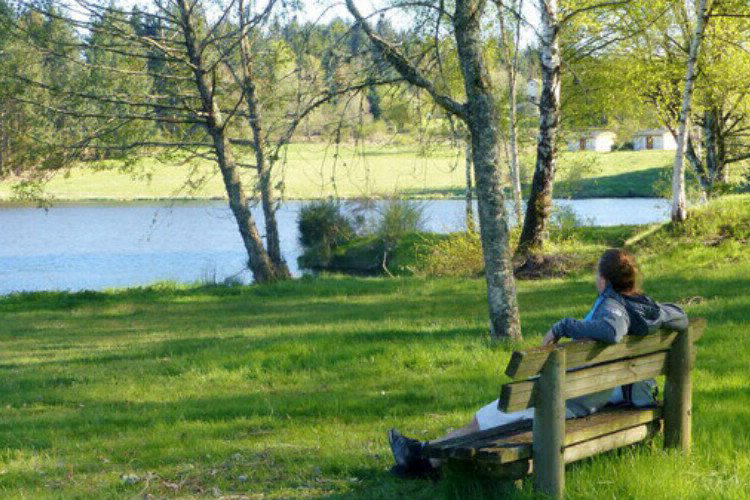 Domaine du Balbuzard Auvernia - Condat-en-Combraille visuel 3/7 Domaine du Balbuzard Auvernia - Condat-en-Combraille visuel 3/7