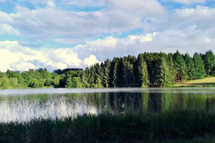 Domaine du Balbuzard Auvernia - Condat-en-Combraille visuel 7/7 Domaine du Balbuzard Auvernia - Condat-en-Combraille visuel 7/7