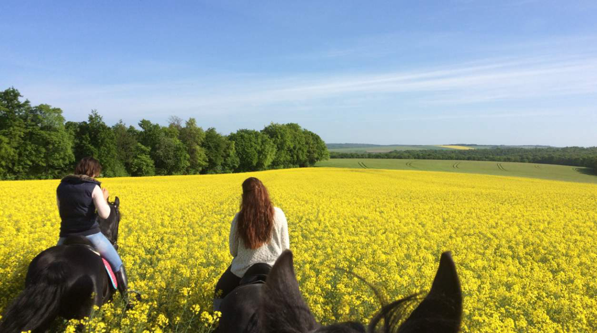 Domaine du Cloître Saint-Christophe Lorena - Saint-Mihiel visuel 2/3