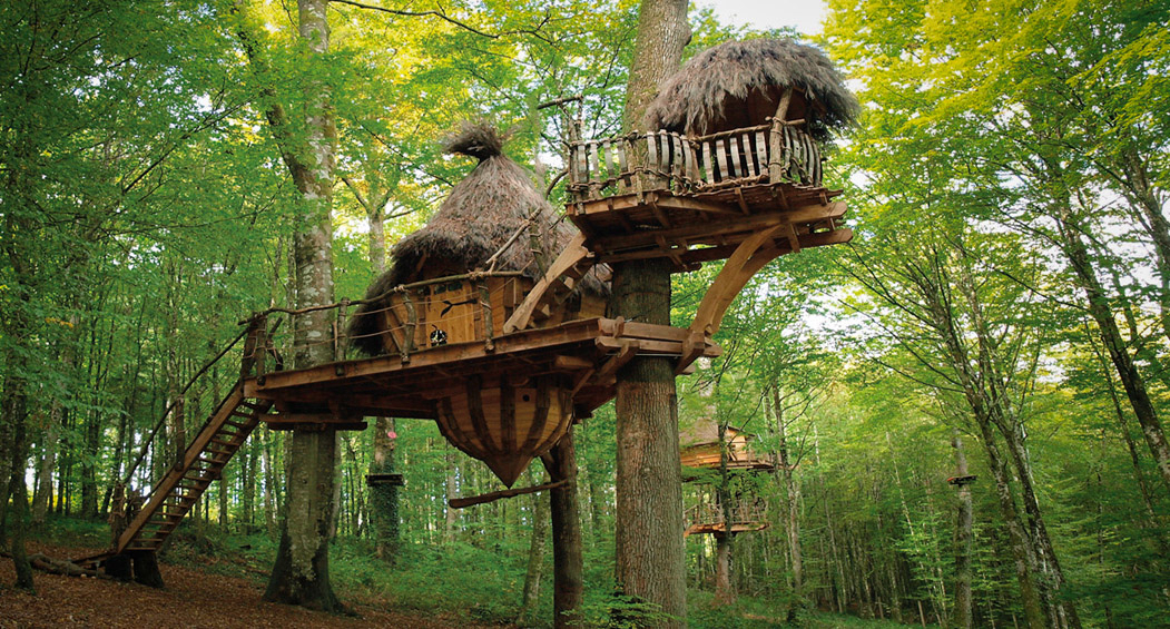 Domaine l'Arbre à Cabane Champaña-Ardenas - Guyonvelle visuel 1/3 Domaine l'Arbre à Cabane Champaña-Ardenas - Guyonvelle visuel 1/3