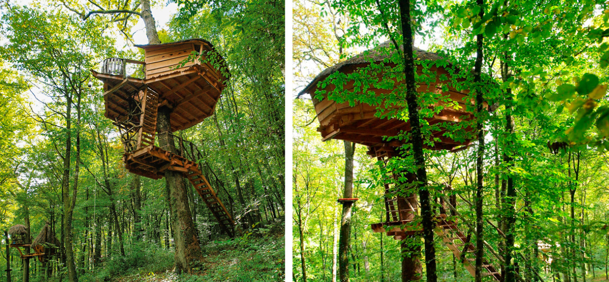 Domaine l'Arbre à Cabane Champaña-Ardenas - Guyonvelle visuel 3/3 Domaine l'Arbre à Cabane Champaña-Ardenas - Guyonvelle visuel 3/3