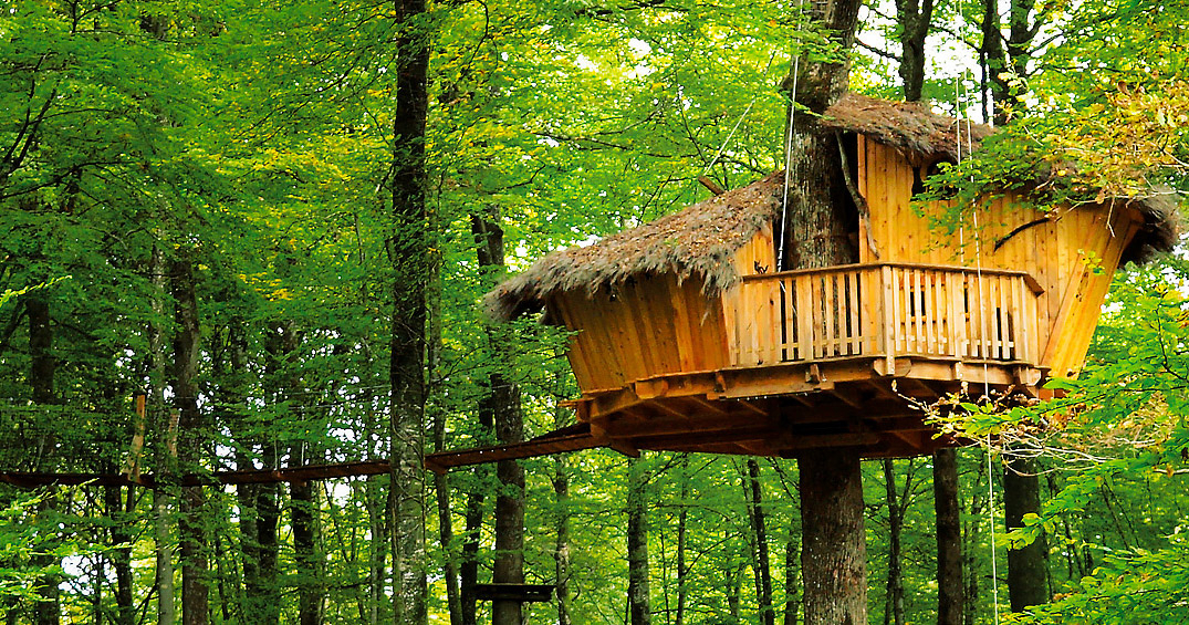 Domaine l'Arbre à Cabane Champaña-Ardenas - Guyonvelle visuel 2/3 Domaine l'Arbre à Cabane Champaña-Ardenas - Guyonvelle visuel 2/3