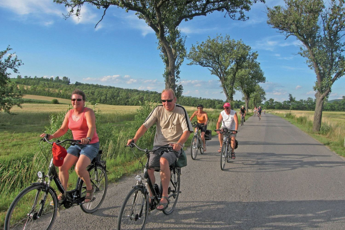 Donaupark Tulln Baja Austria - Tulln an der Donau visuel 12/19