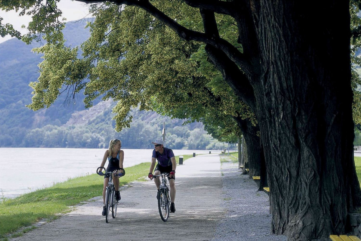 Donaupark Tulln Baja Austria - Tulln an der Donau visuel 17/19