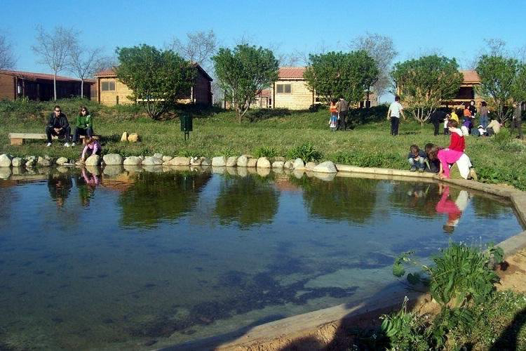 Ecocamp Vinyols Cataluña - Vinyols i els Arcs visuel 4/9