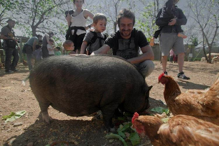 Ecocamp Vinyols Cataluña - Vinyols i els Arcs visuel 6/9