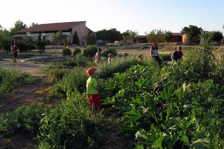 Ecocamp Vinyols Cataluña - Vinyols i els Arcs visuel 2/9