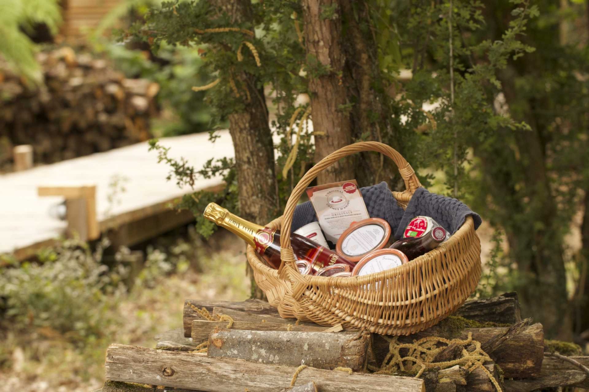 Domaine Ecolodge de Loire Países del Loira - Saint-Georges-des-Sept-Voies visuel 8/8