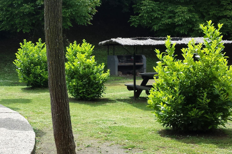 Ecologic Lava Cataluña - Olot visuel 2/10