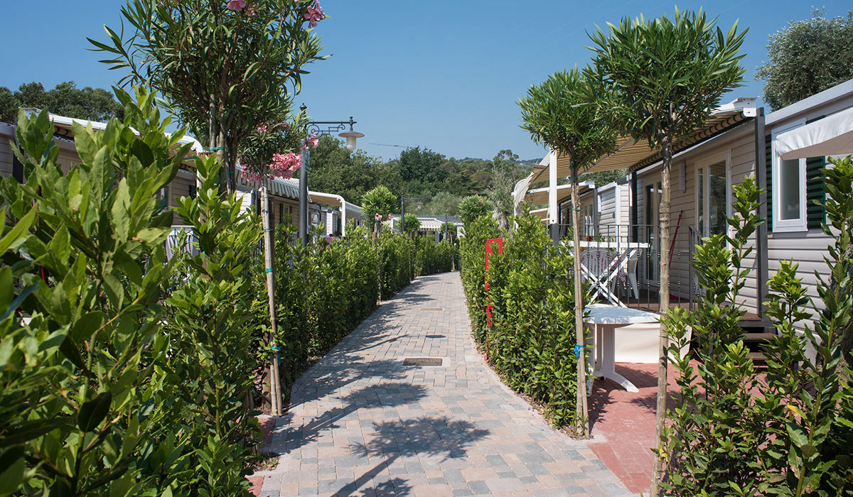 Edy Liguria - Diano Marina visuel 3/3