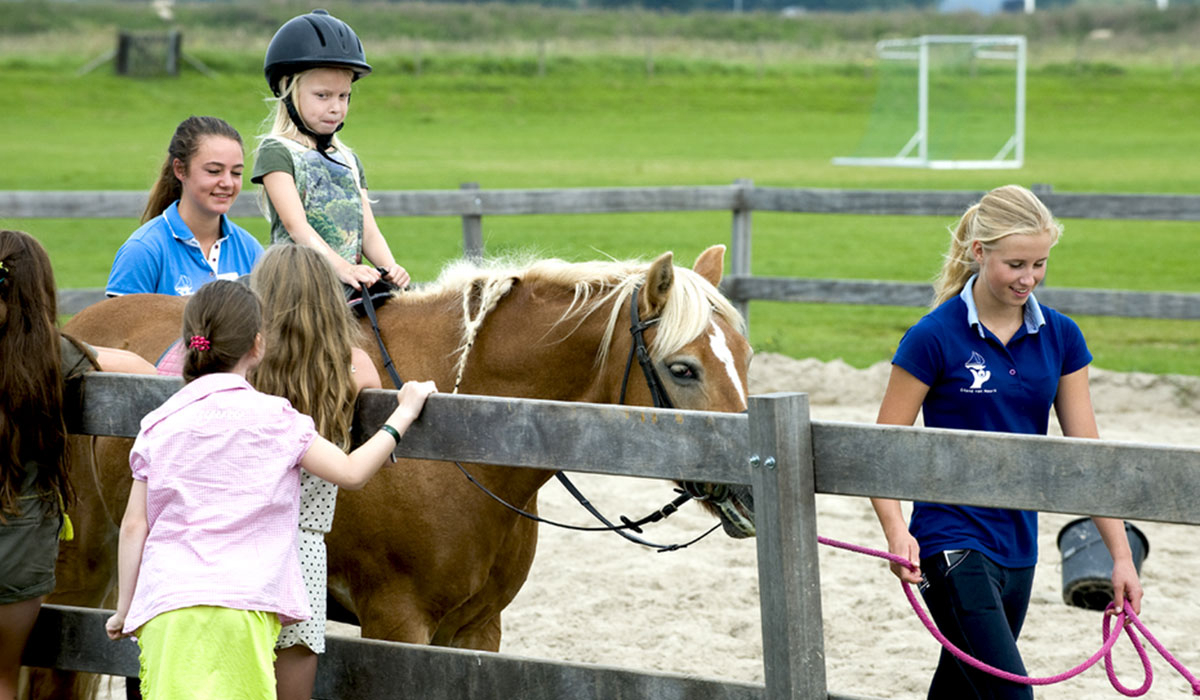 Eiland van Maurik Güeldres - maurik visuel 7/7