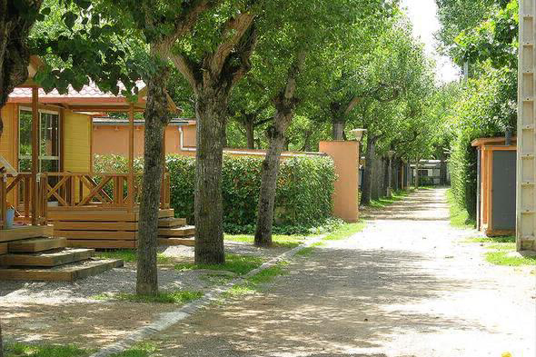 El Llac Cataluña - Banyoles visuel 3/3