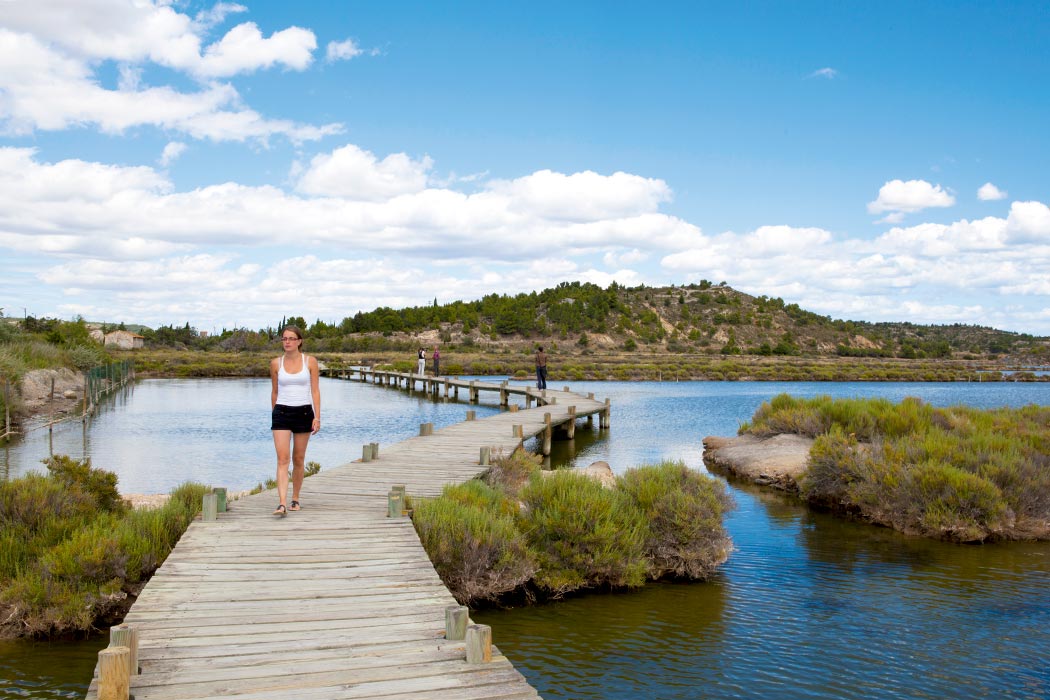 Ensoya Languedoc-Rosellón - Sigean visuel 2/7 Ensoya Languedoc-Rosellón - Sigean visuel 2/7