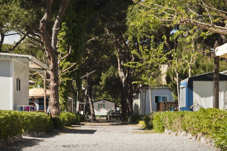 Estrella de Mar Cataluña - Castelldefels visuel 4/5