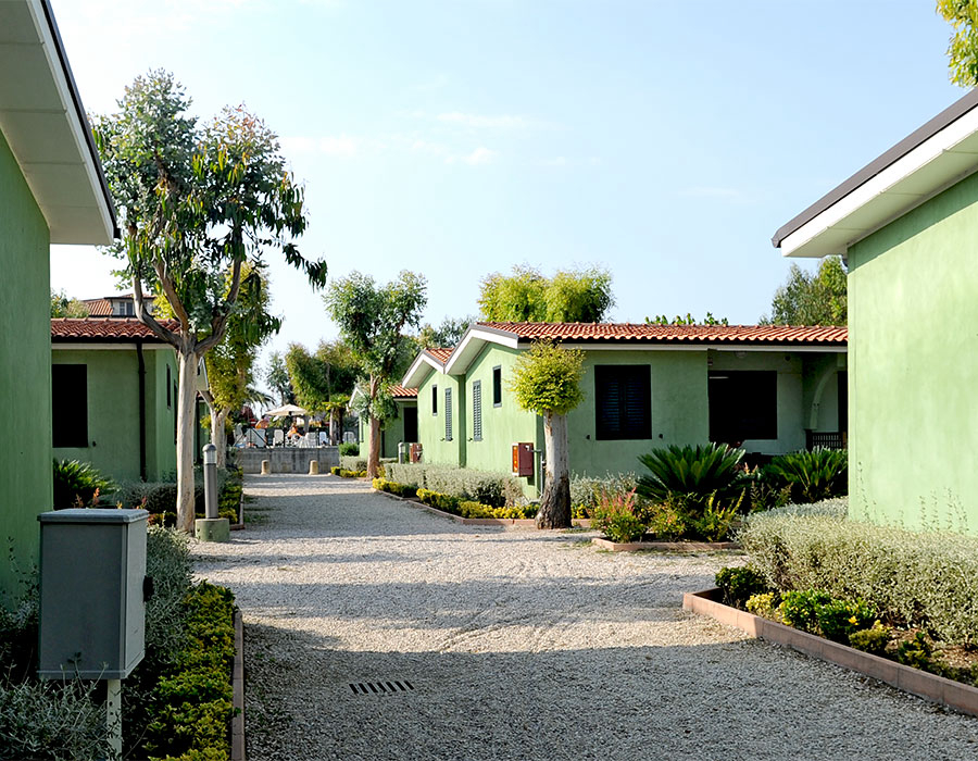 Eucaliptus Abruzos - Alba Adriatica visuel 3/3