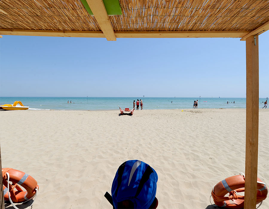 Eucaliptus Abruzos - Alba Adriatica visuel 2/3