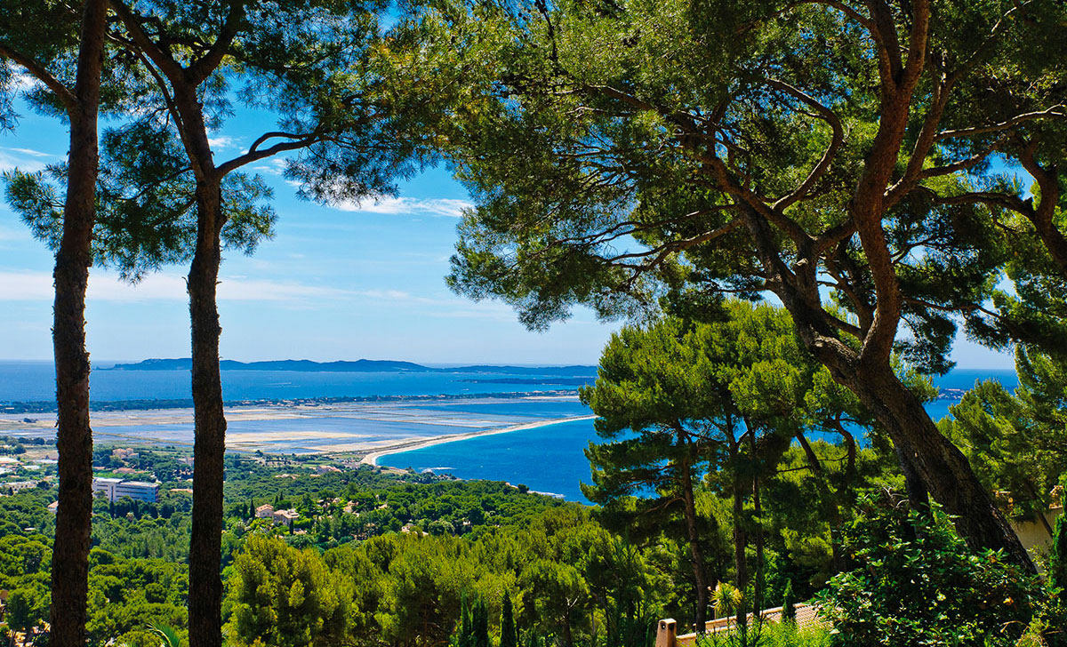 Eurosurf Provenza-Alpes-Costa Azul - Hyères visuel 4/10 Eurosurf Provenza-Alpes-Costa Azul - Hyères visuel 4/10