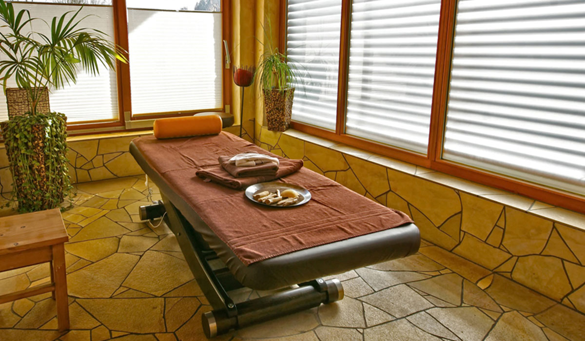 Ferienparadies Schwarzwalder Hof Baden-Wurtemberg - Seelbach visuel 5/6