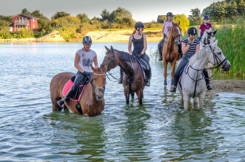 Ferienpark Geesthof Baja Sajonia - Hechthausen visuel 4/4