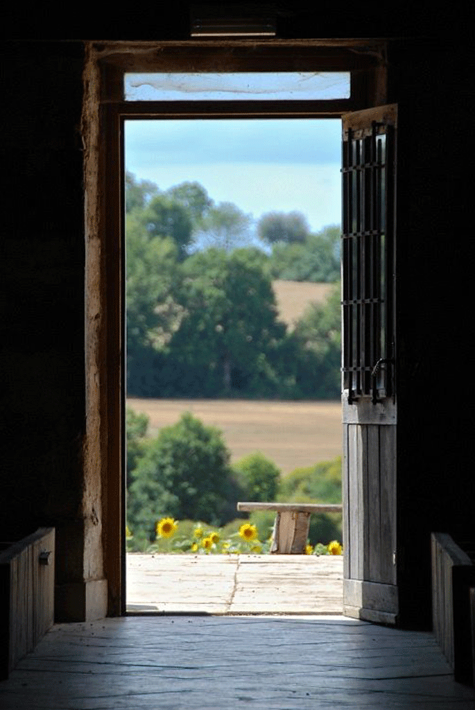 Ferme de Bonneblond Auvernia - Saint-Désiré visuel 4/4 Ferme de Bonneblond Auvernia - Saint-Désiré visuel 4/4